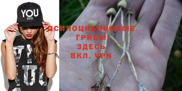 каннабис Алексин